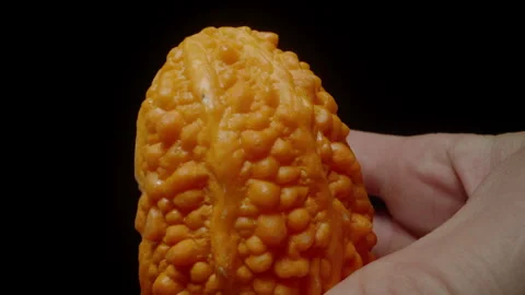 Hand Holding a Whole Bitter Melon, Displaying Its Bumpy Orange Skin Texture, Stock Footage 284323037