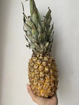 A hand holding whole raw pineapple with white background Foto stock
