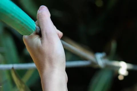 Hand holding onto a wire cable Stock-Fotos