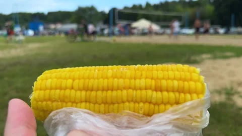 Hand holding yellow corn on the cob at outdoor summer festival with people Vídeo Stock 338201158