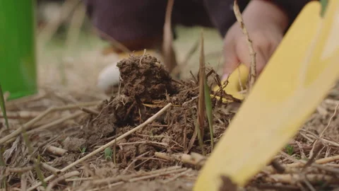 Hand Holding Yellow Trowel Digging Soil in Garden Bed 库存影片 334825721
