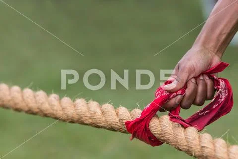 Hand Holds Bandana On Rope Before Tug Of War Contest Stock Photos
