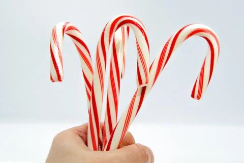 Hand holds a bundle of striped candy canes on a white background Stock Photos