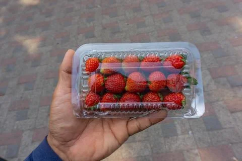 A hand holds a clear plastic container filled with fresh strawberries Stock Photos
