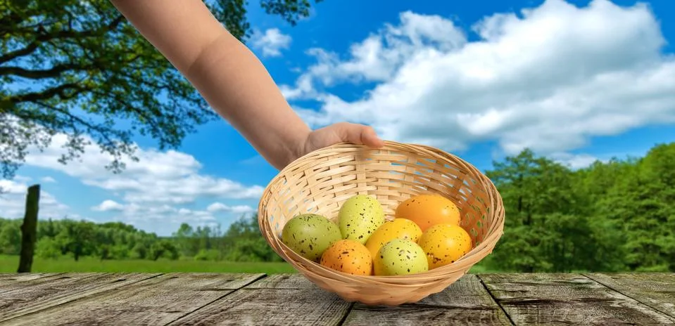 Hand holds an easter basket with easter eggs Stock Photos