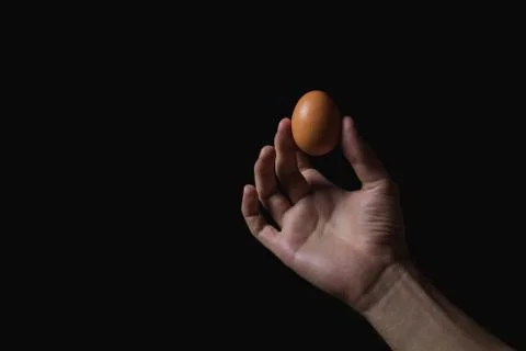 Hand holds an egg on a black background. Stock Photos