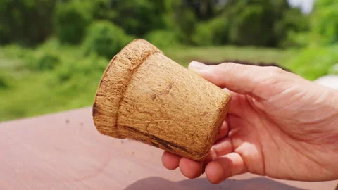 Hand Holds an Empty Coconut Fiber Pot Outdoors, Biodegradable Planting Container Stock Footage 340252305