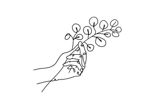 Hand holds eucalyptus silver dollar branch continuous line drawing. One line Stock Illustration