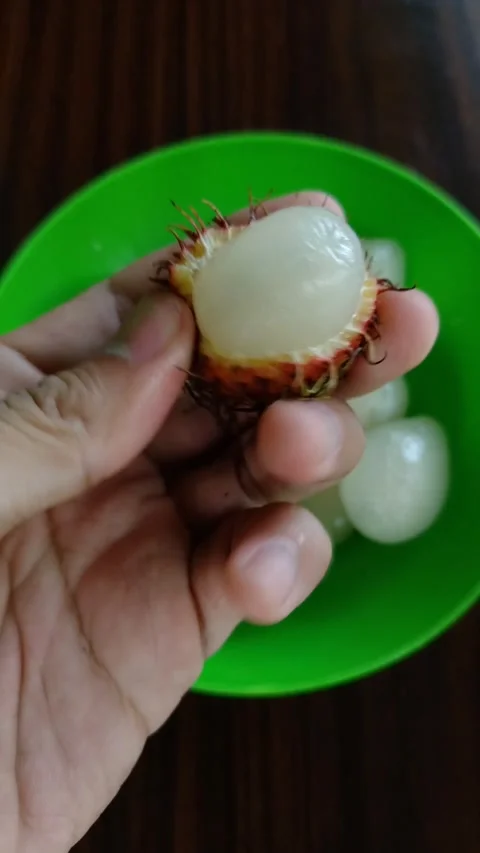 Hand holds fresh, white, spiky fruit Stock Footage 331787572