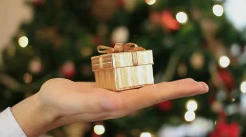 Hand holds a gift in small box, christmas tree in background Video stock 10742017