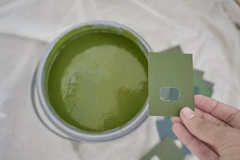 Hand holds green paint sample beside open can of similar green paint Stock Photos