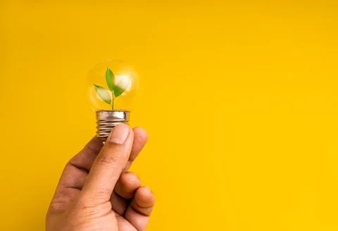 Hand holds light bulb containing fresh green leaves on yellow background. C.. Stock Photos