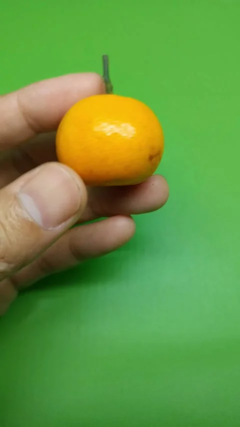 Hand holds small orange fruit with green stem Stock Footage 332082906