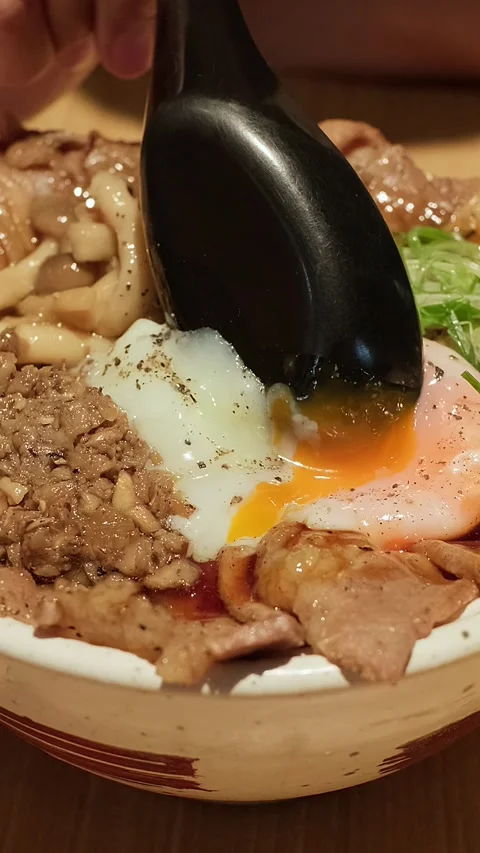 Hand holds spoon over savory rice bowl. Stock Footage 338348058