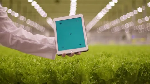 A hand holds a tablet on a background of lettuce leaves, statistics on a tablet Vidéo 261846881