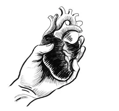 Hand with human heart Illustrazione stock