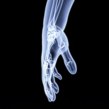 Hand Stock Illustration