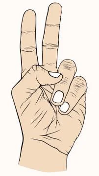 Hand Stock Illustration