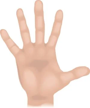Hand illustration 스톡 일러스트