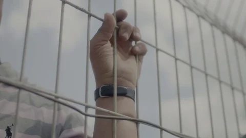Hand Of Imprisoned Man. Jail Net Stock Footage 76926566