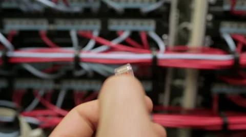 Hand insert the power cord into the socket server Stock Footage 44493481