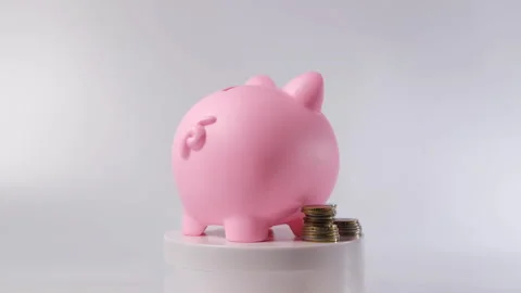 Hand inserting banknote into pink piggy bank Vídeos de archivo 296214197