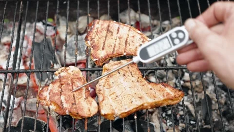 Hand inserts digital food thermometer into seasoned meat sizzling on outdoor Stock Footage 346644161