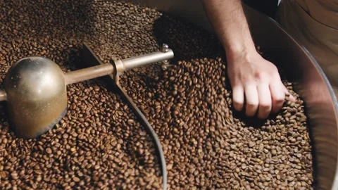Hand inspecting roasted coffee beans in a roasting machine during the daytime at Stock Footage 321712950