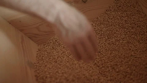 A hand inspects grain that lies in a small wooden silo Stock Footage 85214319