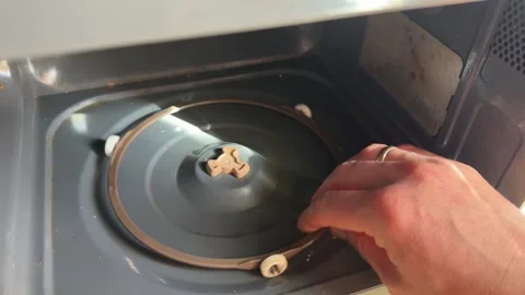 Hand installing the glass turntable plate inside a microwave oven. Close up of Stock Footage 336976542
