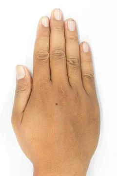 Hand isolate in white background. 스톡 사진