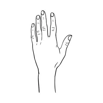 Hand isolated on white, logo vector illustration, hand drawn style concept il Stock Illustration