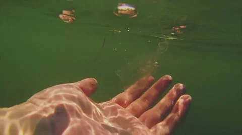 Hand with jellyfish Stock Footage 47995420