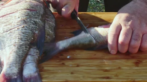 Hand with a knife makes cuts on fish for smoking, close-up Vídeos de archivo 262872668