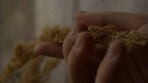 Hand leads the ear Stock Footage 236390518