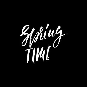 Hand lettered style spring design on a white background. Spring Time hand drawn Stock Illustration