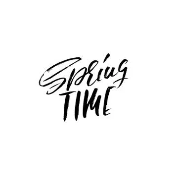 Hand lettered style spring design on a white background. Spring Time hand drawn Stock Illustration