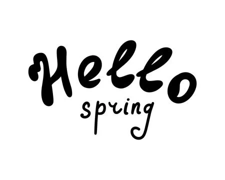 Hand lettering hello spring isolated on white background for spring postcards Stock Illustration