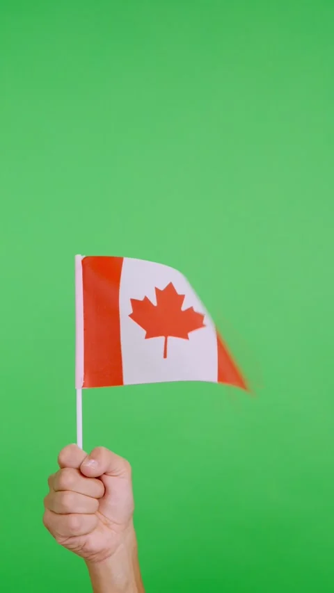 Hand lifting a canadian pennant while waving by the wind Stock Footage 254937965
