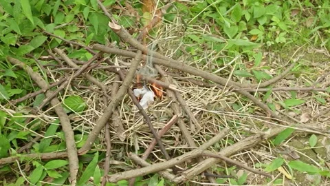Hand lighting fire on pile of dry wooden twigs using grass as starter in an.. Stock Footage 328668982