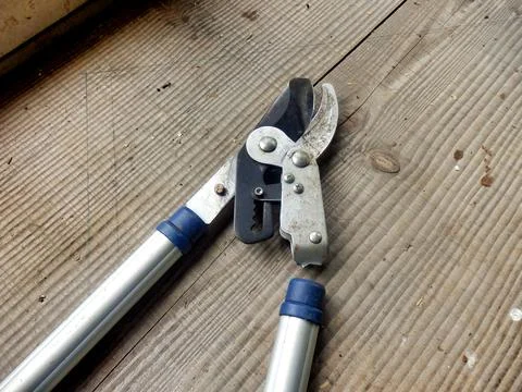 Hand Loppers 写真素材