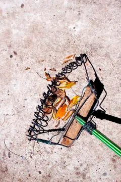 Hand made african leaf rake and leaves on concrete background Stock Photos