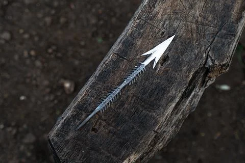 Hand made arrow head created by Datoga tribe. Africa. Foto stock