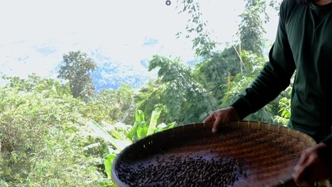 Hand made coffee process 스톡 동영상 116364358