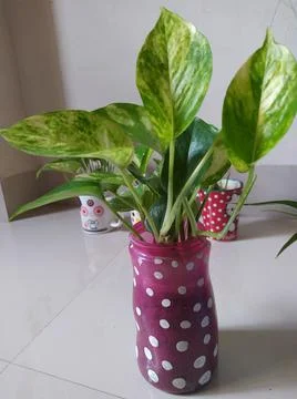 Hand Made Pot for Home Garden Stock Photos