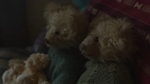 Hand Made Teddy Bears Stock Footage 52187020