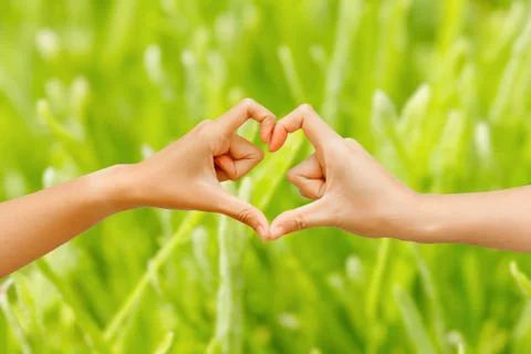 Hand make  heart shape framing on green nature background Foto stock