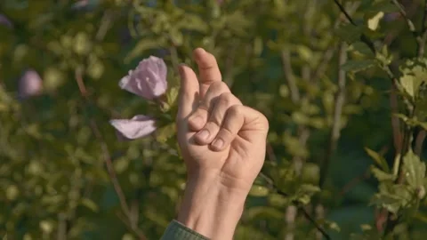 A Hand Makes A Click With The Fingers Of The Hand Among Nature 4k Video Stock Footage 274760697