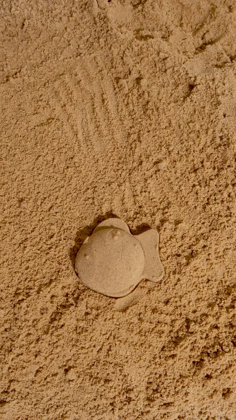 A hand makes a fish and a star from children's molds on the sand at a summe.. Stock Footage 319747602