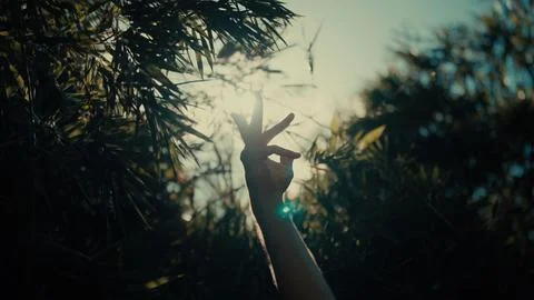 Hand makes a peace gesture Foto stock